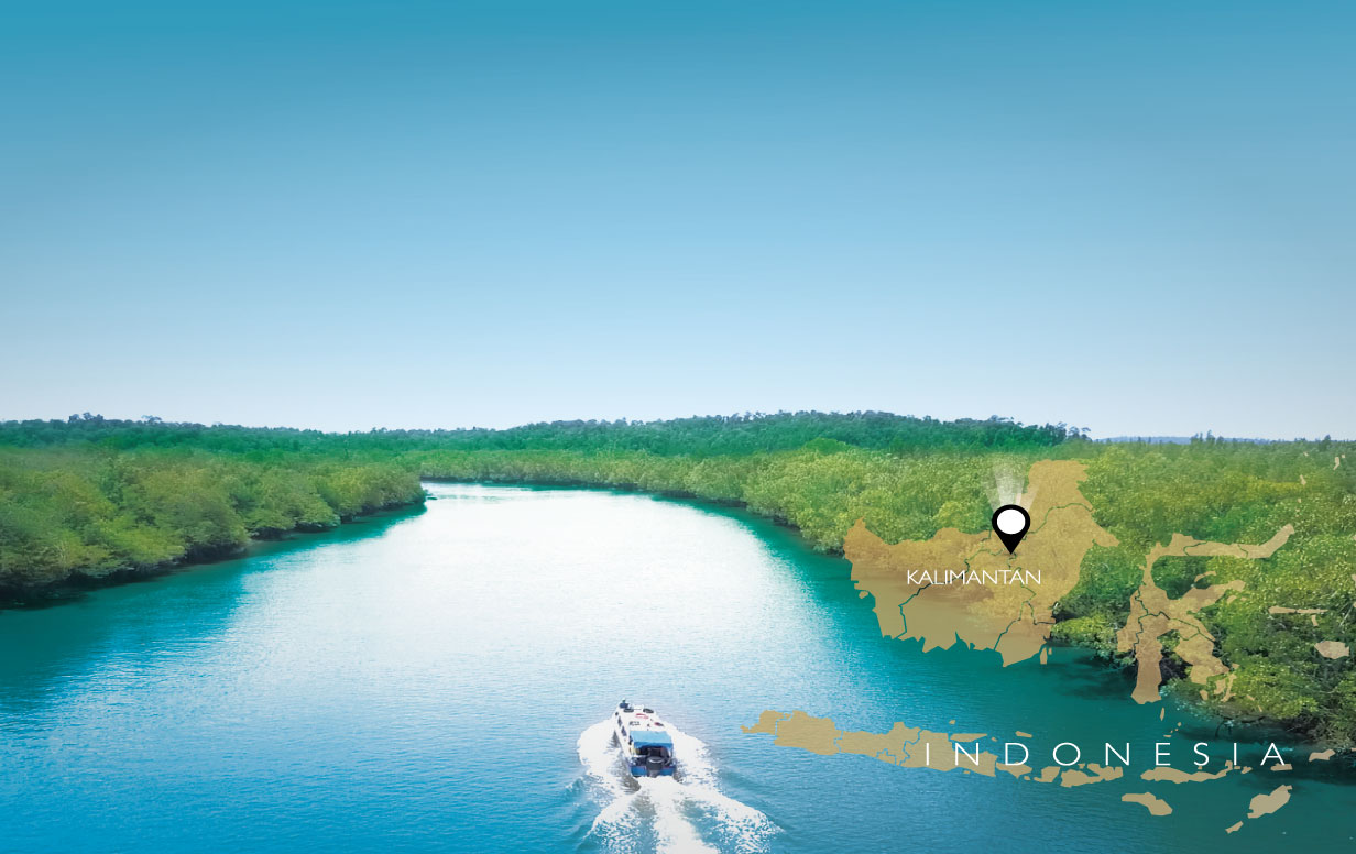 shrimplocation.jpg (144 KB)